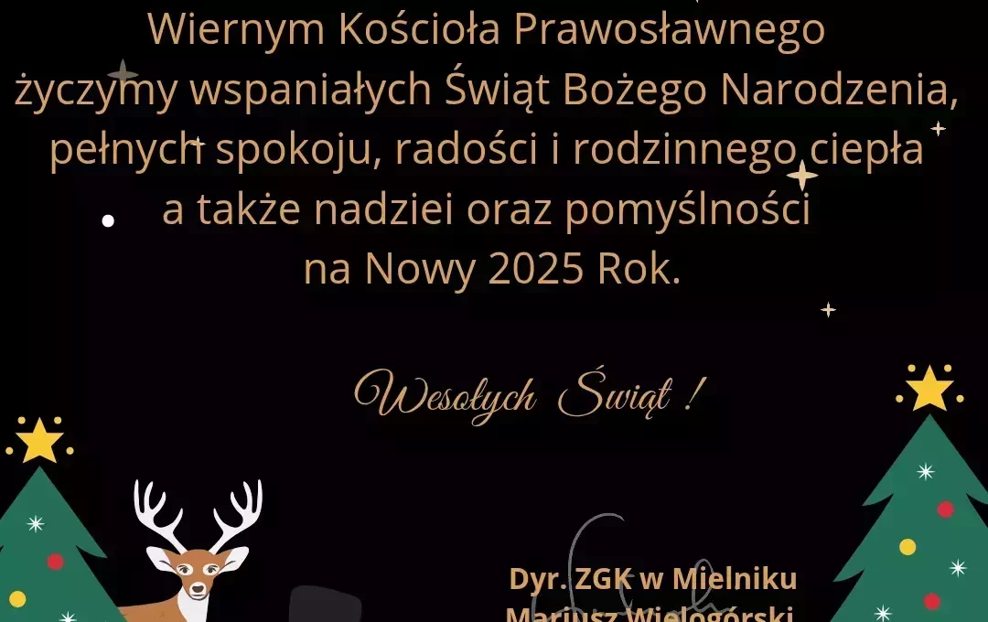 Zdjęcie do Wesołych Świąt! 